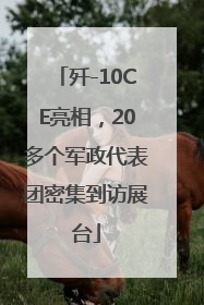 歼-10CE亮相，20多个军政代表团密集到访展台