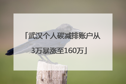 武汉个人碳减排账户从3万暴涨至160万