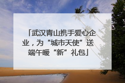 武汉青山携手爱心企业，为“城市天使”送端午暖“新”礼包