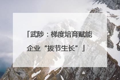 武陟：梯度培育赋能企业“拔节生长”