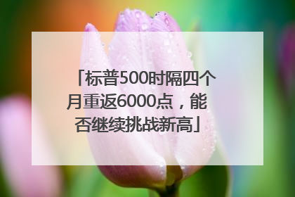 标普500时隔四个月重返6000点，能否继续挑战新高