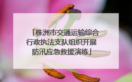 株洲市交通运输综合行政执法支队组织开展防汛应急救援演练