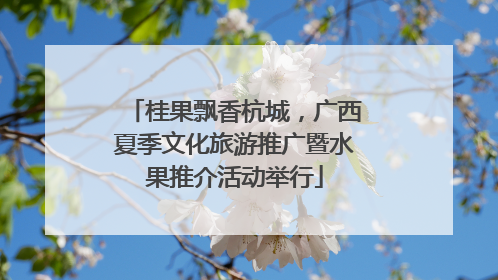 桂果飘香杭城，广西夏季文化旅游推广暨水果推介活动举行
