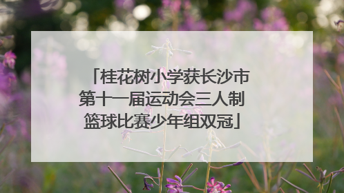 桂花树小学获长沙市第十一届运动会三人制篮球比赛少年组双冠