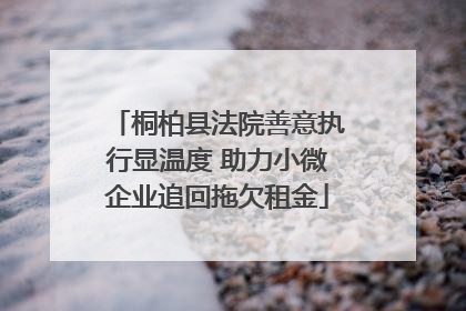 桐柏县法院善意执行显温度 助力小微企业追回拖欠租金