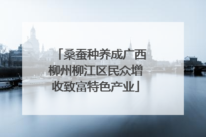 桑蚕种养成广西柳州柳江区民众增收致富特色产业