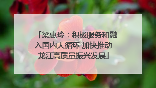 梁惠玲：积极服务和融入国内大循环 加快推动龙江高质量振兴发展