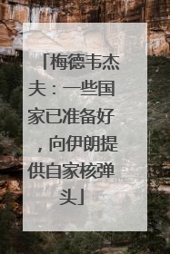 梅德韦杰夫：一些国家已准备好，向伊朗提供自家核弹头