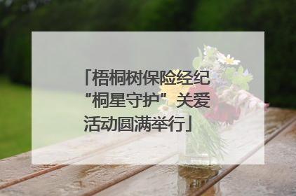 梧桐树保险经纪“桐星守护”关爱活动圆满举行