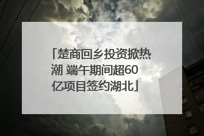 楚商回乡投资掀热潮 端午期间超60亿项目签约湖北