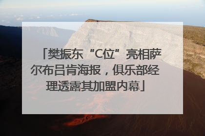 樊振东“C位”亮相萨尔布吕肯海报，俱乐部经理透露其加盟内幕