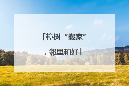 樟树“搬家”，邻里和好