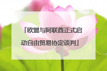 欧盟与阿联酋正式启动自由贸易协定谈判