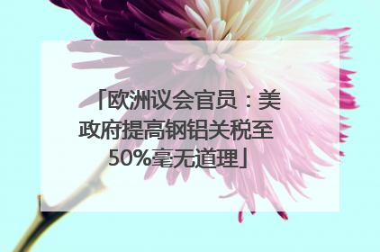 欧洲议会官员：美政府提高钢铝关税至50%毫无道理