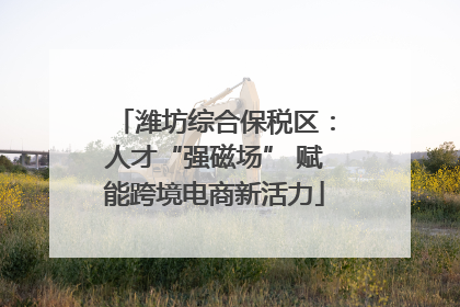 潍坊综合保税区：人才“强磁场” 赋能跨境电商新活力