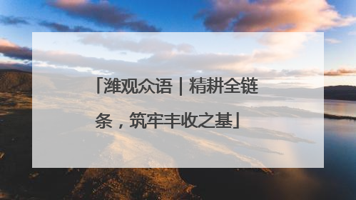 潍观众语｜精耕全链条，筑牢丰收之基