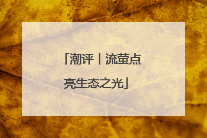 潮评丨流萤点亮生态之光