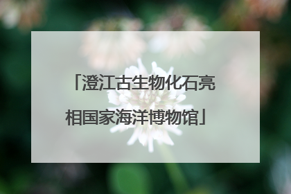 澄江古生物化石亮相国家海洋博物馆