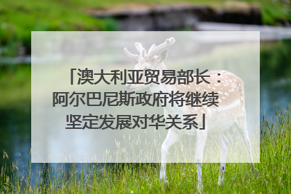 澳大利亚贸易部长：阿尔巴尼斯政府将继续坚定发展对华关系
