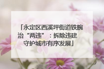 永定区西溪坪街道铁腕治“两违”：拆除违建 守护城市有序发展