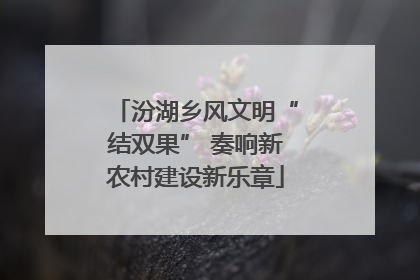 汾湖乡风文明“结双果” 奏响新农村建设新乐章