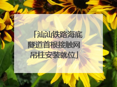 汕汕铁路海底隧道首根接触网吊柱安装就位
