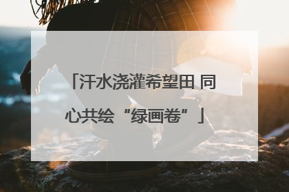 汗水浇灌希望田 同心共绘“绿画卷”