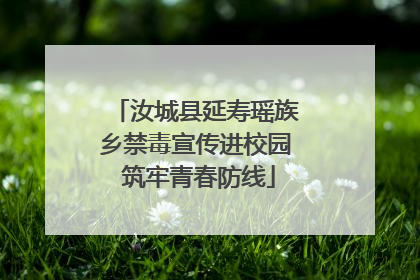 汝城县延寿瑶族乡禁毒宣传进校园 筑牢青春防线