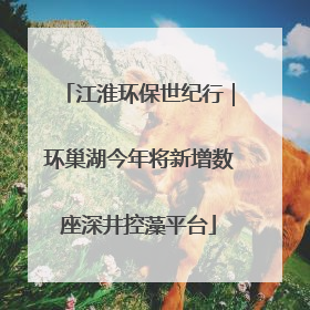 江淮环保世纪行｜环巢湖今年将新增数座深井控藻平台