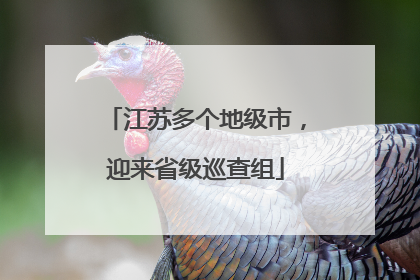 江苏多个地级市，迎来省级巡查组