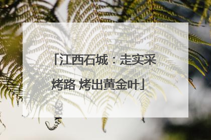 江西石城：走实采烤路 烤出黄金叶