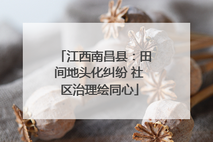 江西南昌县：田间地头化纠纷 社区治理绘同心