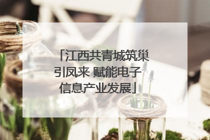 江西共青城筑巢引凤来 赋能电子信息产业发展