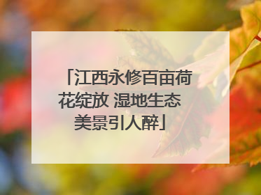 江西永修百亩荷花绽放 湿地生态美景引人醉