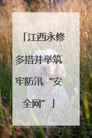 江西永修多措并举筑牢防汛“安全网”