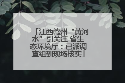 江西赣州“黄河水”引关注 省生态环境厅：已派调查组到现场核实
