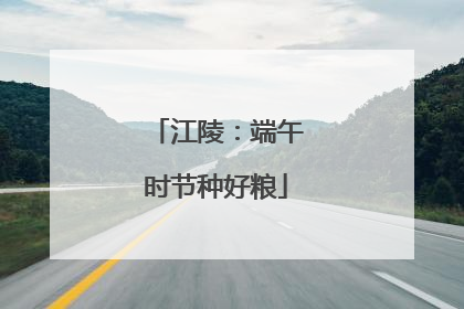 江陵：端午时节种好粮