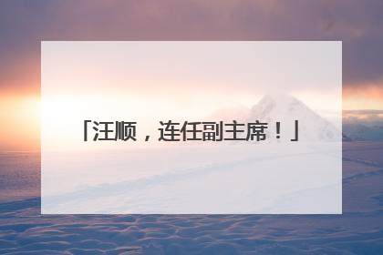 汪顺，连任副主席！