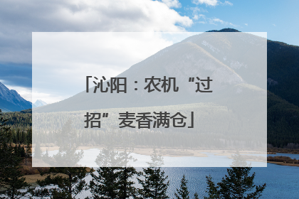 沁阳：农机“过招”麦香满仓