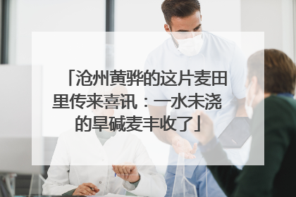 沧州黄骅的这片麦田里传来喜讯：一水未浇的旱碱麦丰收了