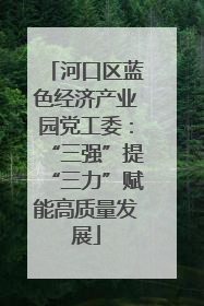 河口区蓝色经济产业园党工委：“三强”提“三力”赋能高质量发展