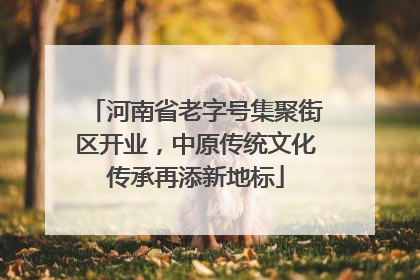 河南省老字号集聚街区开业，中原传统文化传承再添新地标