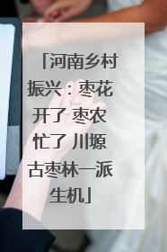 河南乡村振兴：枣花开了 枣农忙了 川塬古枣林一派生机