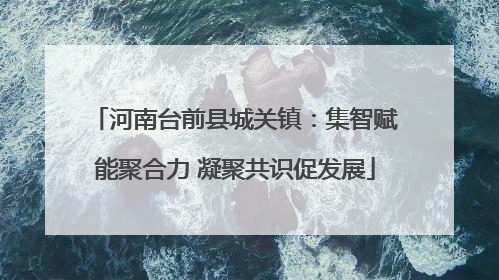 河南台前县城关镇：集智赋能聚合力 凝聚共识促发展