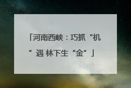 河南西峡：巧抓“机”遇 林下生“金”