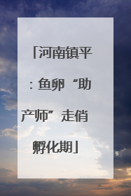 河南镇平：鱼卵“助产师”走俏孵化期