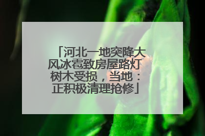 河北一地突降大风冰雹致房屋路灯树木受损，当地：正积极清理抢修
