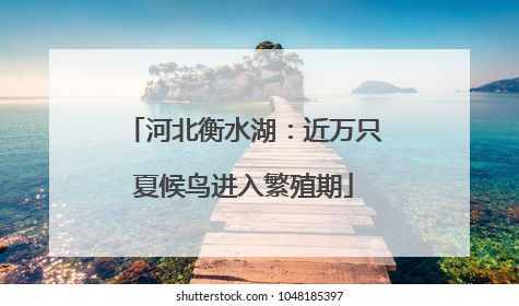河北衡水湖：近万只夏候鸟进入繁殖期