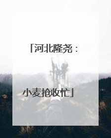 河北隆尧：小麦抢收忙