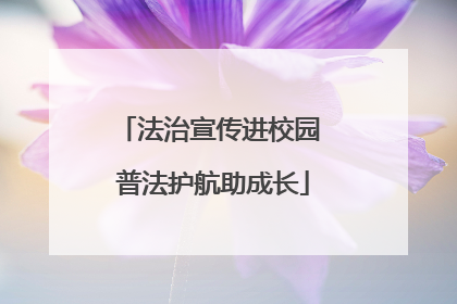 法治宣传进校园 普法护航助成长
